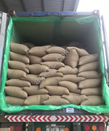 Кофе зеленый / обжаренный - зерновой / молотый