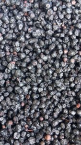 Черника сушеная