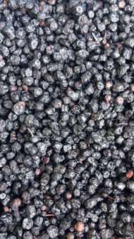 Черника сушеная