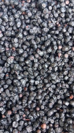 Черника сушеная