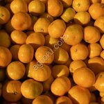 Мандарины Абхазия