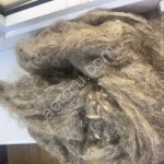Овечья шерсть мытая