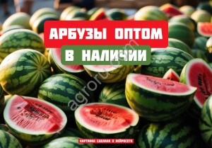 Арбузы от фермера