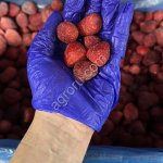 Замороженная Малина