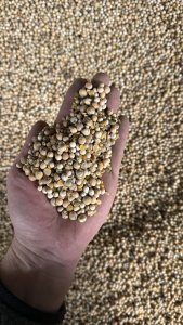 горох фуражный в мешках