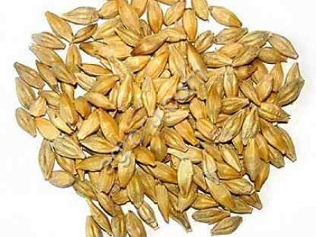 ячмень фуражный в мешках