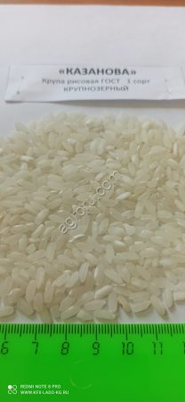 Рис крупнозерный Казанова