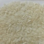 Рис крупнозерный Казанова