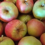 Яблоко свежее, Айдаред