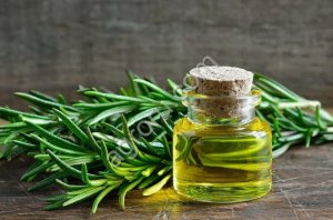 Розмарин, экстракт