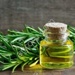 Розмарин, экстракт