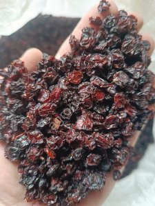 Калина сушеная