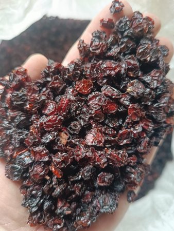 Калина сушеная