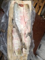 Кета ПБГ Николаевская