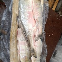 Кета ПБГ Николаевская