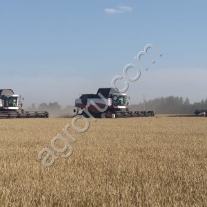 С/х предприятие (27000 га) в Республике Татарстан