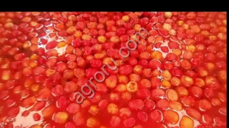 Линия паровой очистки овощей, корнеплодов, фруктов