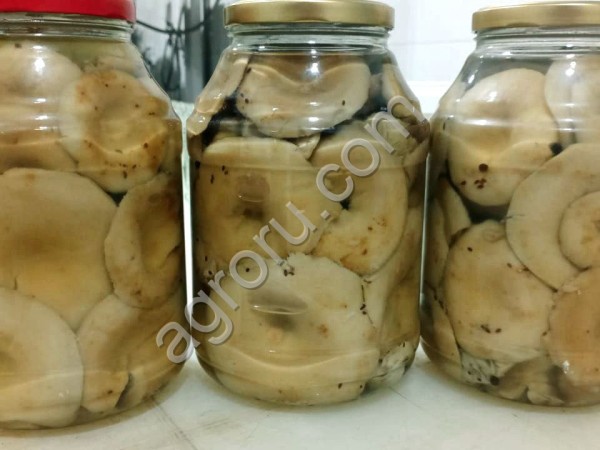 Солёные и маринованные грибы от компании Грибной Алтай!