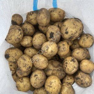Овощи в Бресте