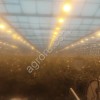 Вакуумные охладители для срезов цветов