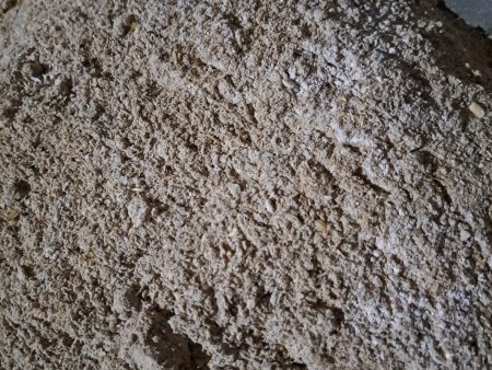 ячменная мучнистая смесь