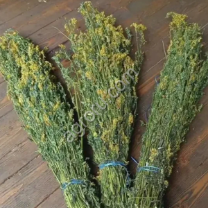 Зверобой душица