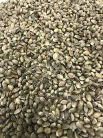 Конопля техническая