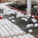 Яйцо куриное