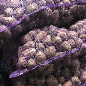 КАРТОФЕЛЬ НАПРЯМУЮ С ХОЗЯЙСТВА