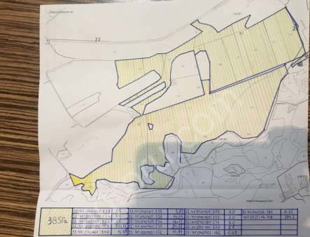 земельный участок