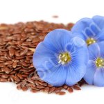 Семена льна масличного ВНИИМК 620!