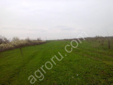 землю С/Х 2800 га