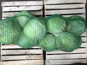 Капуста от производителя