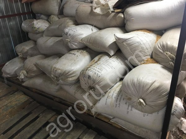 Действующая птицеферма по выращиванию бройлеров