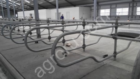 Дуга для беспривязного содержания КРС