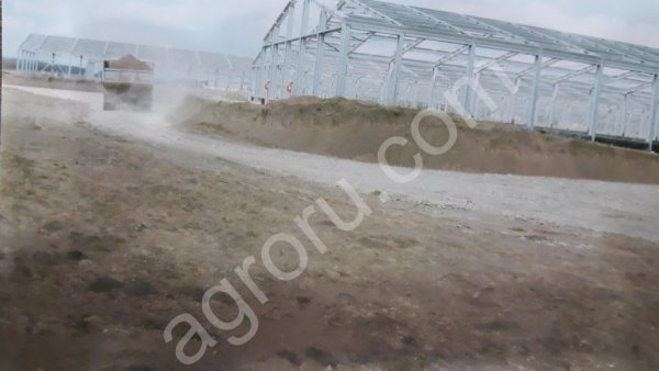 Свиноводческий комплекс