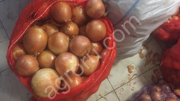 Лук Утриро 5+