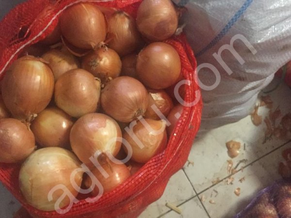 Лук Утриро 5+