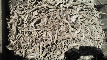 Корень девясила