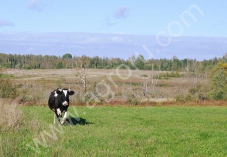 Земельный участок 5 га