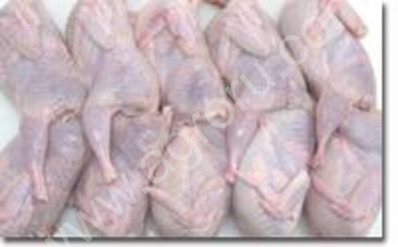 Мясо перепелов