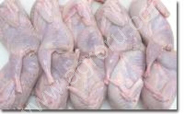 Мясо перепелов