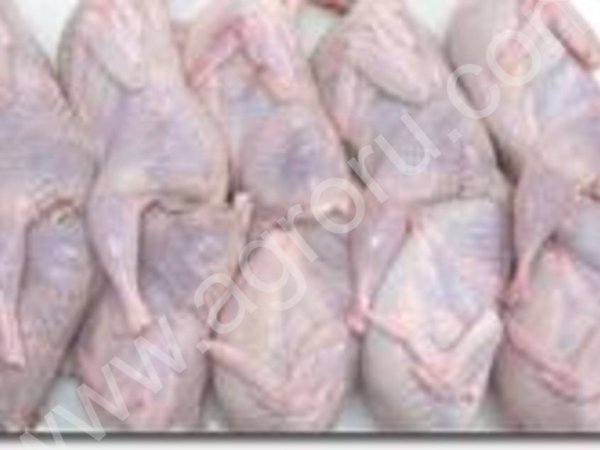 Мясо перепелов