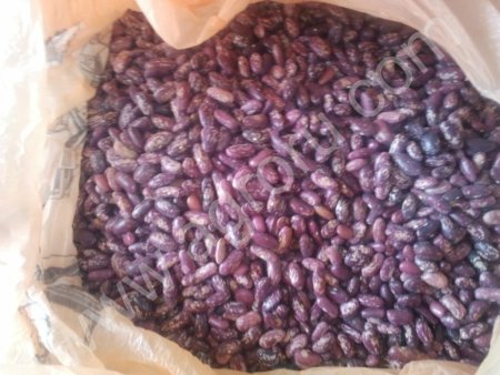 Фасоль Пёстрая