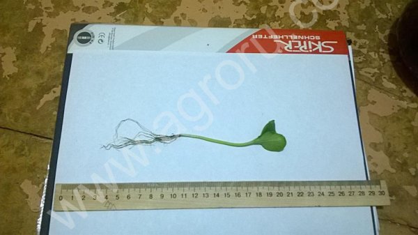 Биополемик комплексный