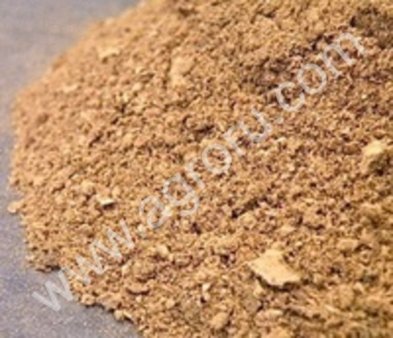 Грибной порошок