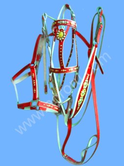 Нагрудник верховой украшенный с уздой парадной