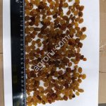 Изюм Малаяр крупным оптом во Владимире