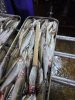 Корюшка азиатская зубастая 20-23см