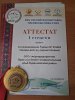 Дорпер. Чистокровные бараны и ярки.